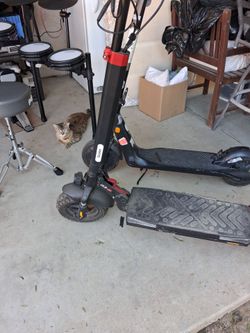 Electric scooter adult