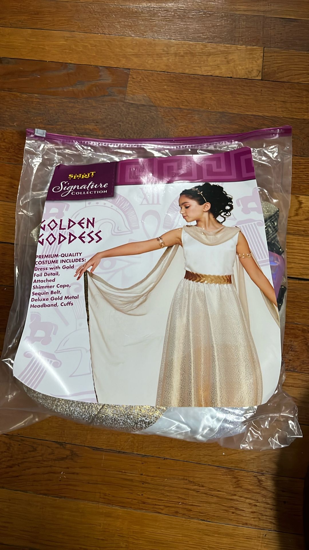 Costume Goddess Size 10-12