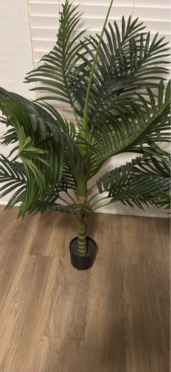 Plants not lived