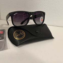 Rayban Polarized Sunglasses Justin Classic unisex