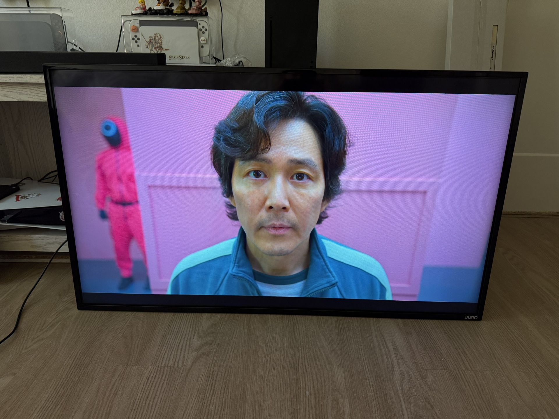 Vizio 48” SMART TV Full HD LED TV (Model E48-D0)