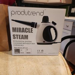Steam Cleaner Using No Chemicals New
