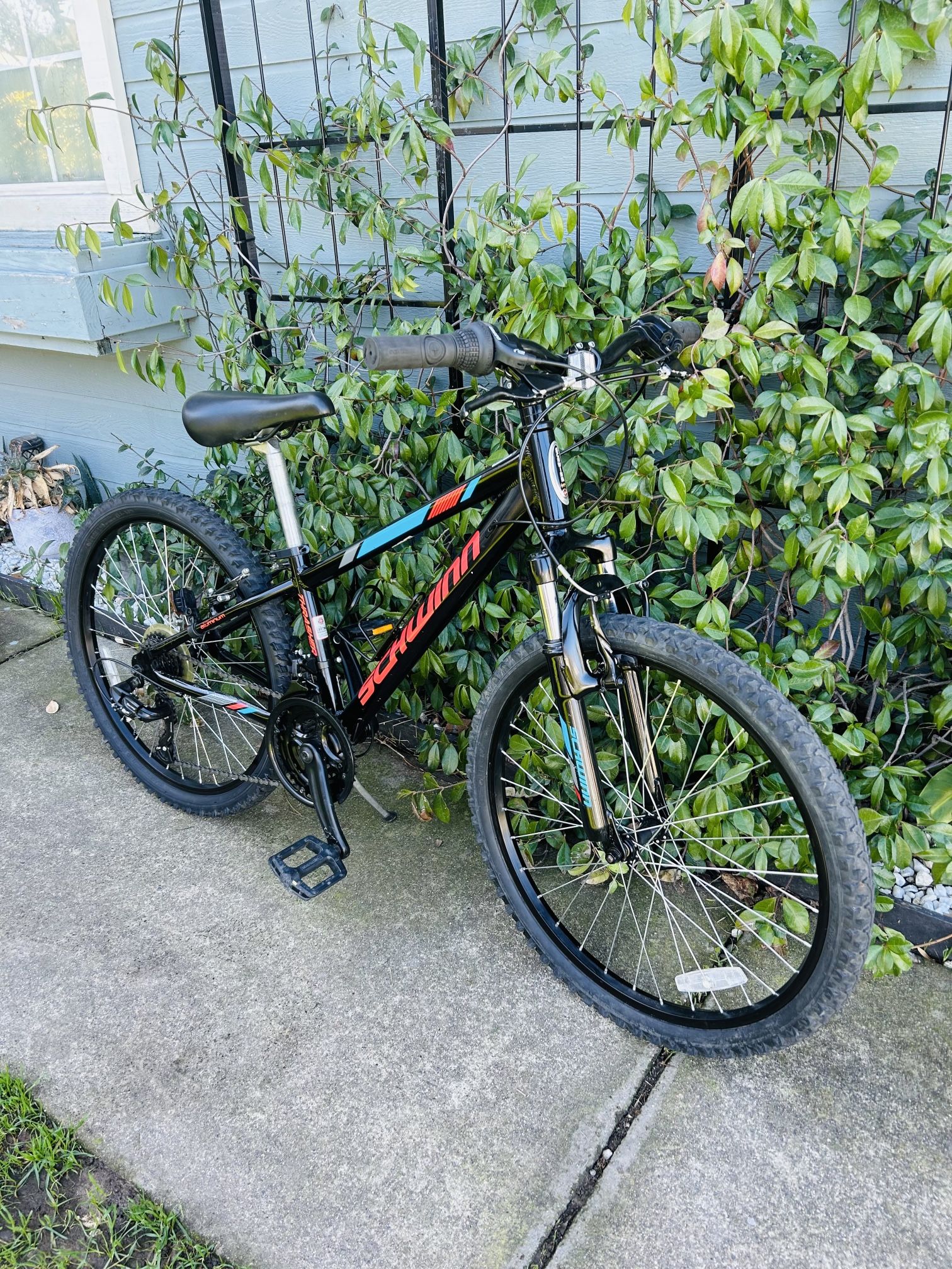 SCHWINN THRASHER YOUTH MOUNTAIN BIKE 24” Wheels