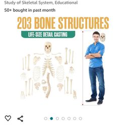 Houseables Disarticulated Human Skeleton - Educational 