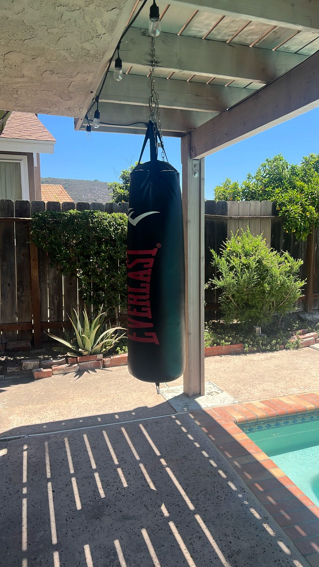100lb Punch Bag