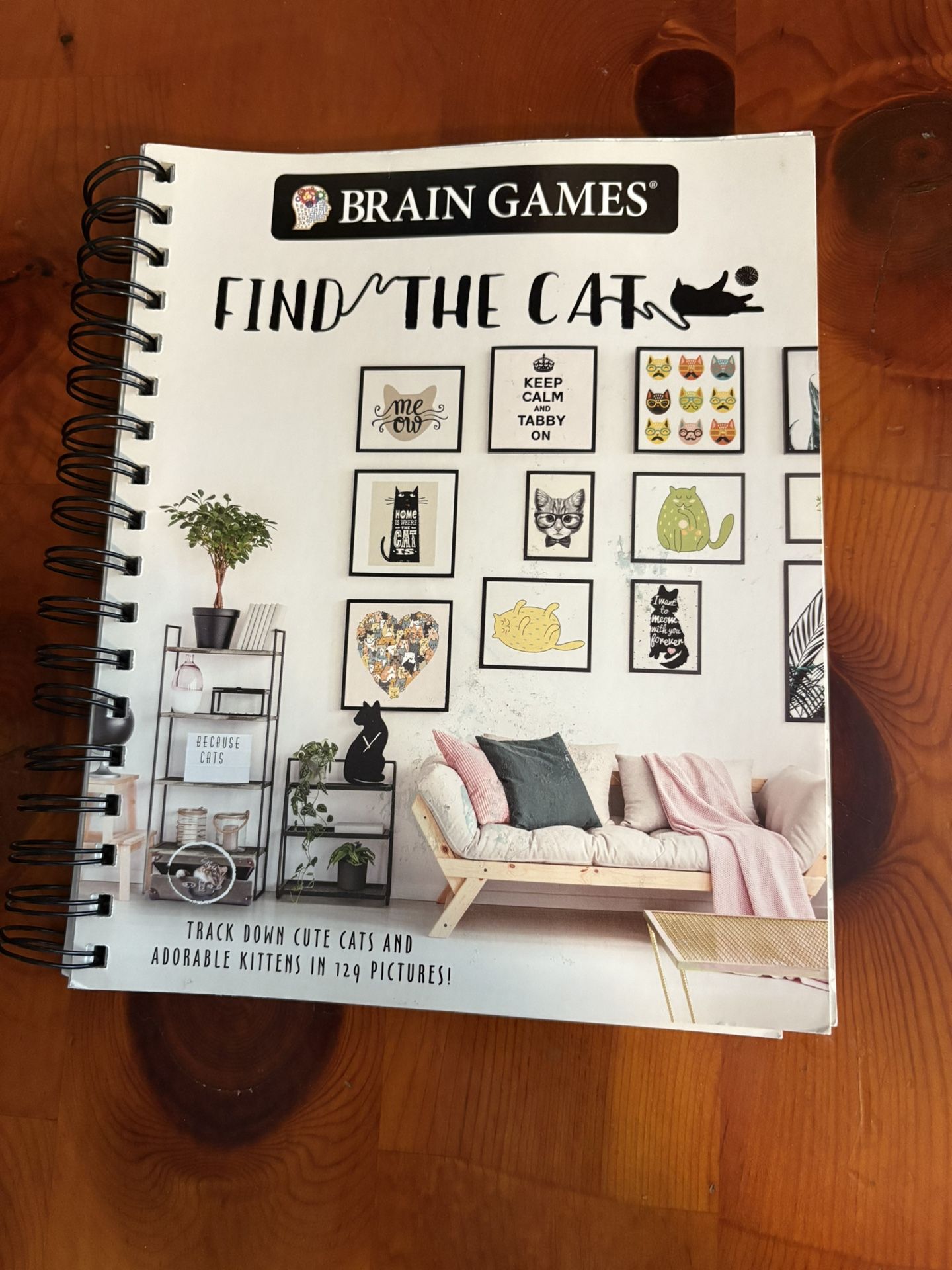 Brain Games Find The Cat: Track Down Cute Cats And Adorable Kittens In 129 Pictures!