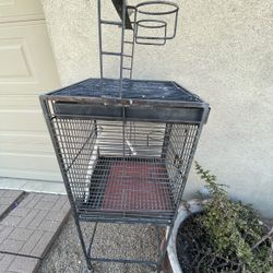 Bird Cage