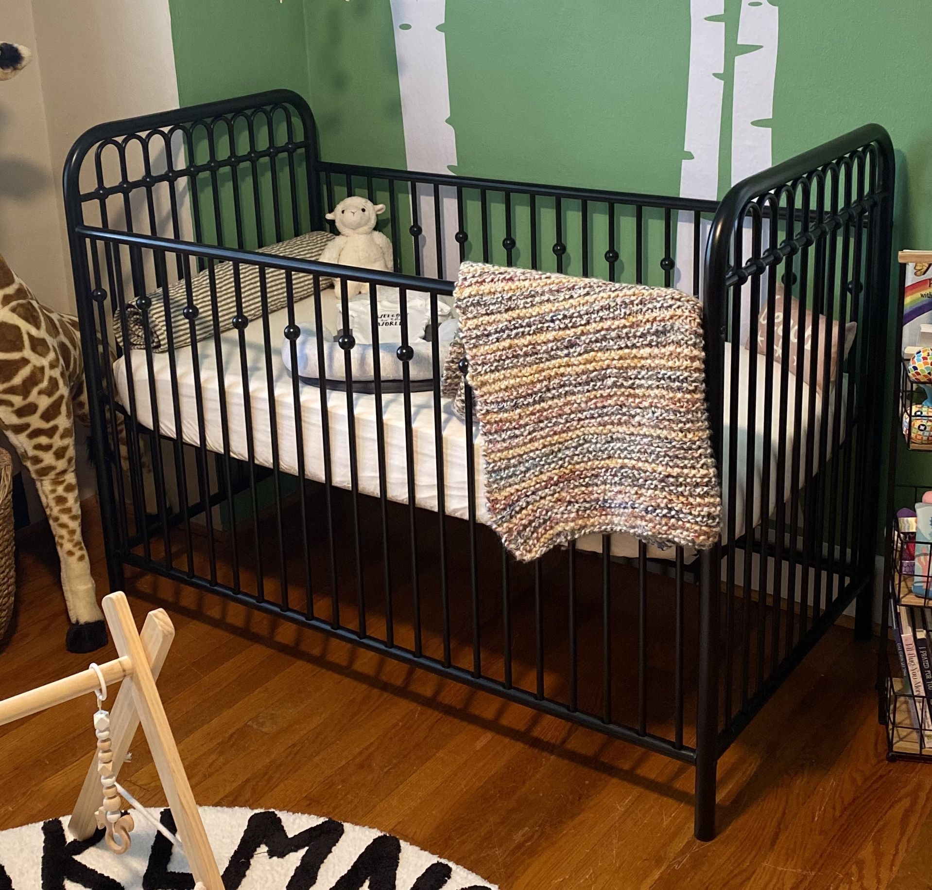 Little Seeds Crib And Mattress $70