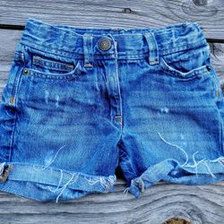 J. Crew Girls Cowgirl Denim Shorts 