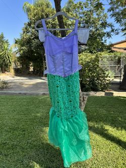 Princess Ariel/Little Mermaid Costume