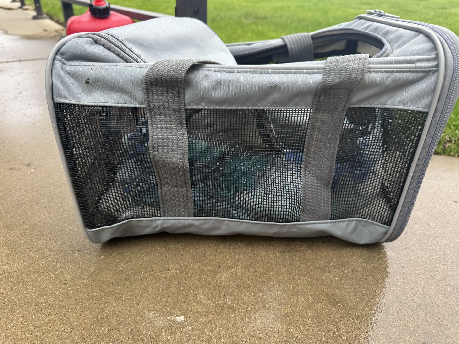 Pet Carrier