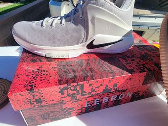 Nike zoom witness