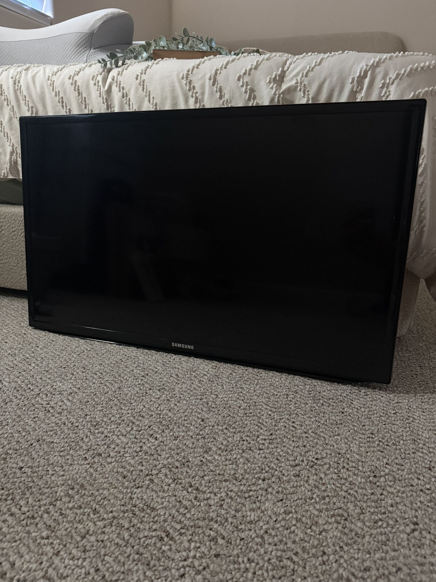 29" SAMSUNG TV