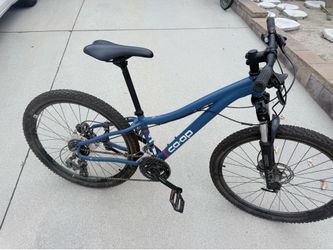 REI Kids Mountain Bike
