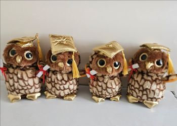 Graduation owls