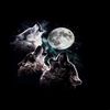 AKASHIC RECORDS