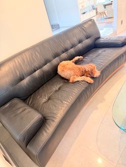 Scandinavian designs leather arm chair and sofa
