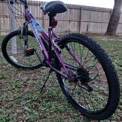 Bisicleta Rodada 24"