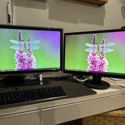 Two Computer Monitors 22” & 23”