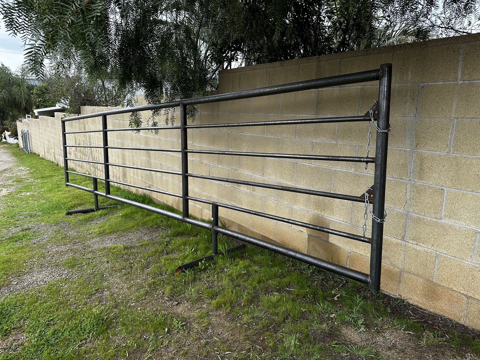 Cattle Panels For Cows Bulls Bison
