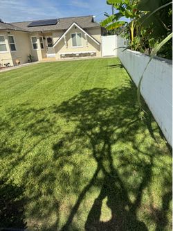 Jardinero