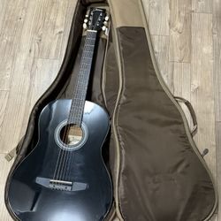Taylor Guitar Bag With Johnson Acoustic Guitar 