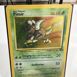 Pinsir