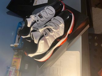 Size 9 DS concord bred 11
