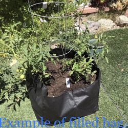 Grow Bags ***new*** $3 