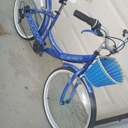 26' Beach Cruiser