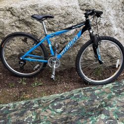 Specialized Rockhopper Mountain Bike