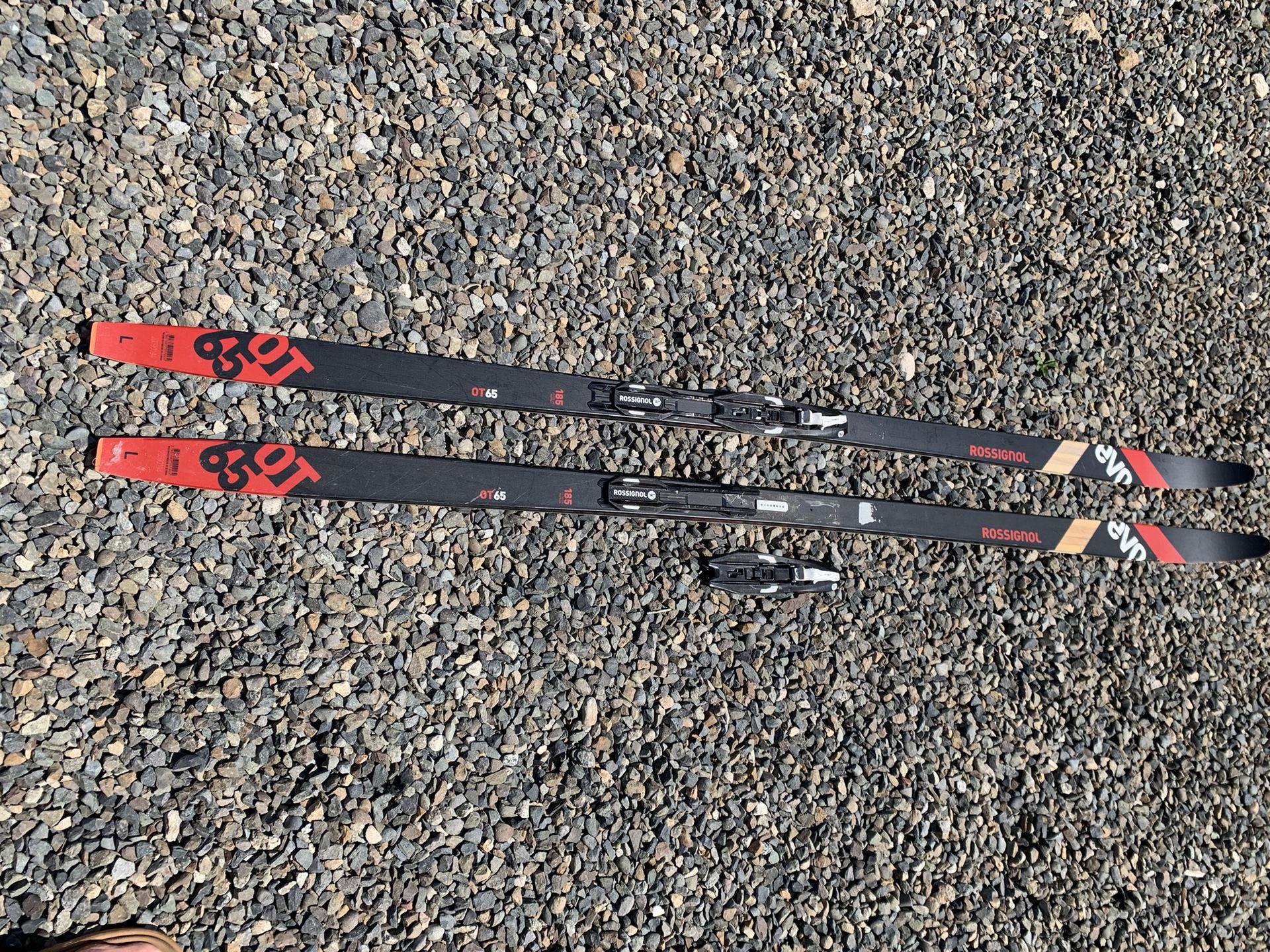 Free Rossignol Cross Country Skis