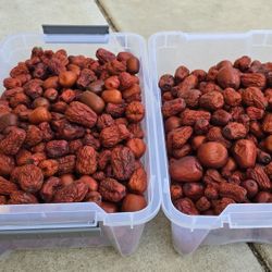 14 Lbs of Jujube 