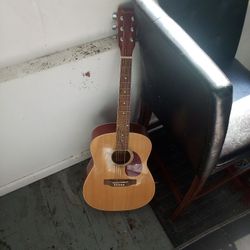 Adam And Spectrum Acoustic Guitars