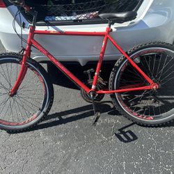 Adult Bike