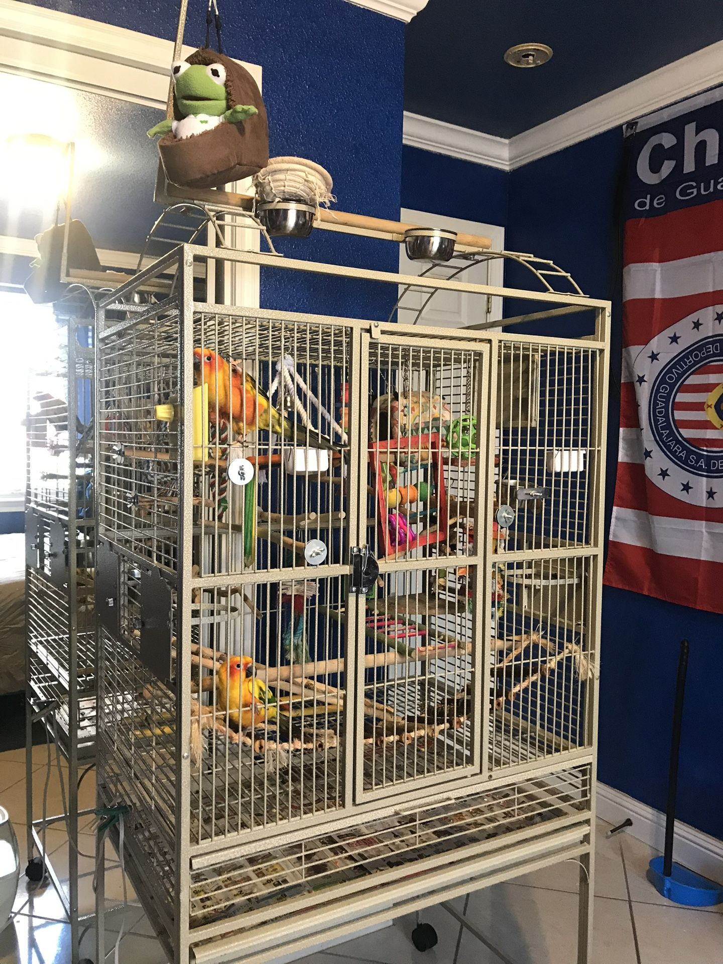 Bird Cage