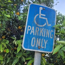 10ft HANDICAP Parking Sign