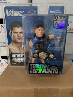 Round 5 UFC wec Brian Stann