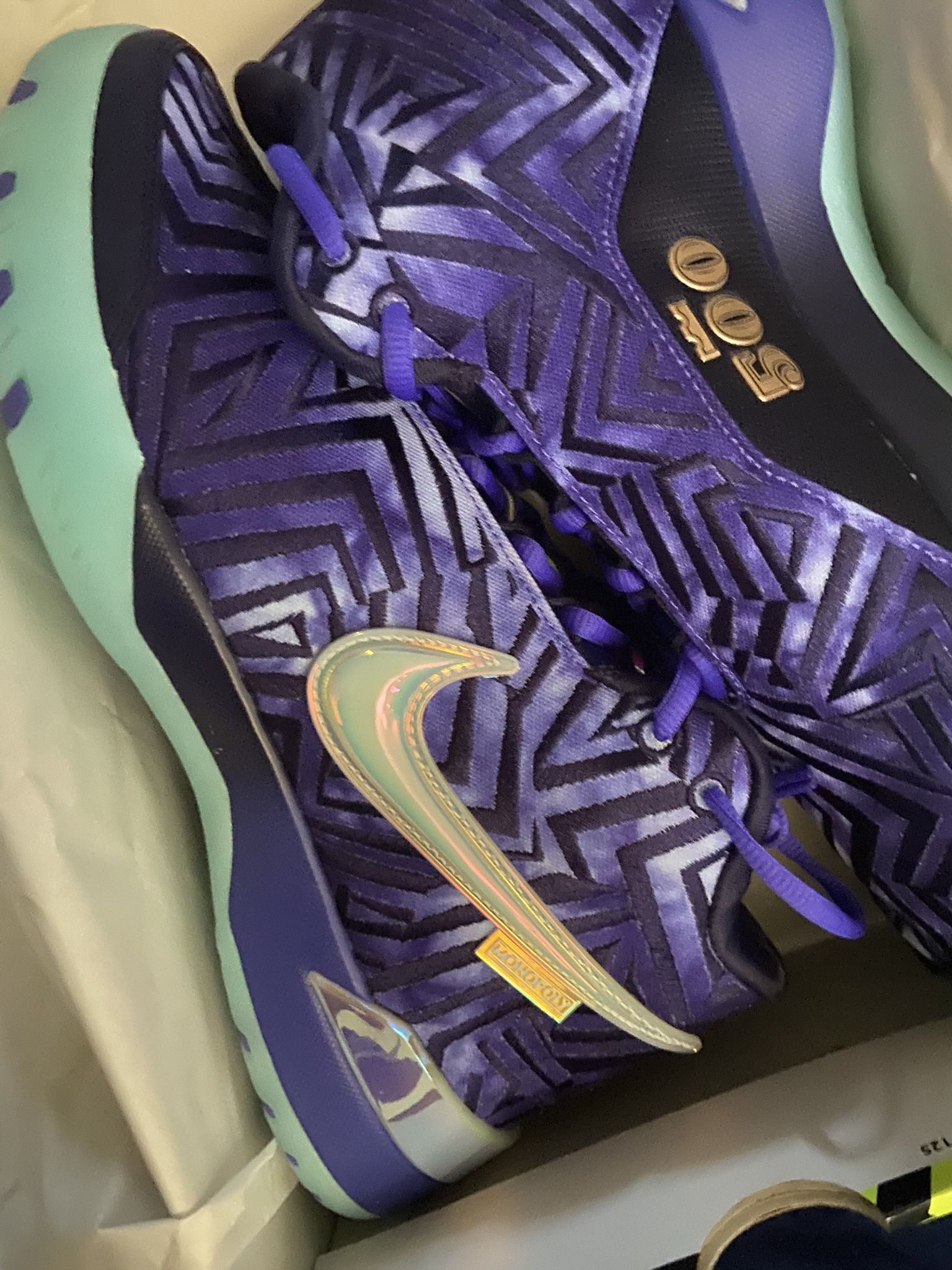 LeBron Nxxt Size 10.5