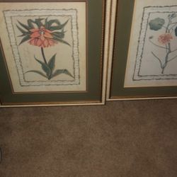 Botanical Pictures. 21x25. Nice Frames And Matte. $10 Each. .