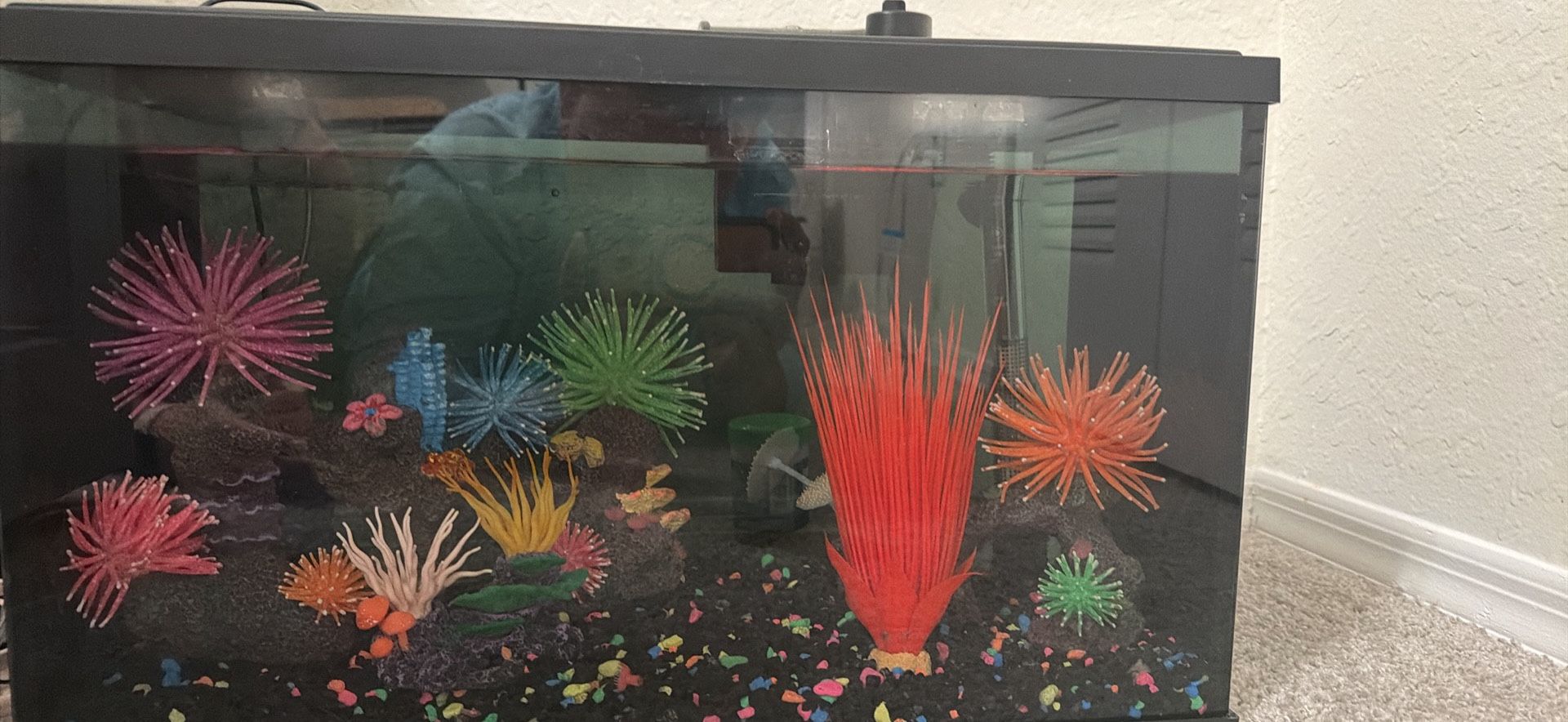 Top Fin Glow Fish Tank