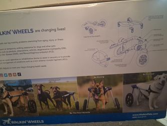 DOG rear wheel chair