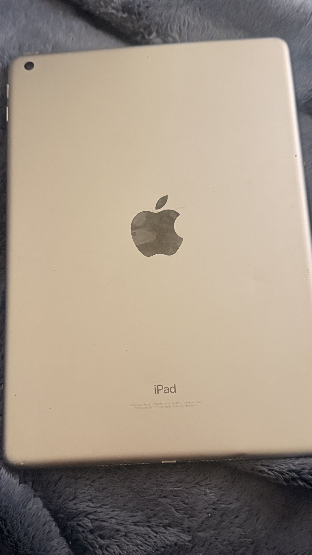 iPad Older Model Unlocked