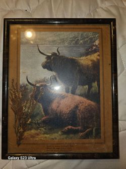 Framed Highland Cattle Print with Scottish Verse