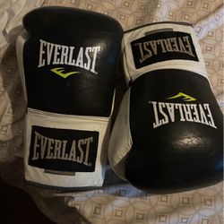 Pro Lace Up Everlast Fight Gloves Rare 16 Oz.