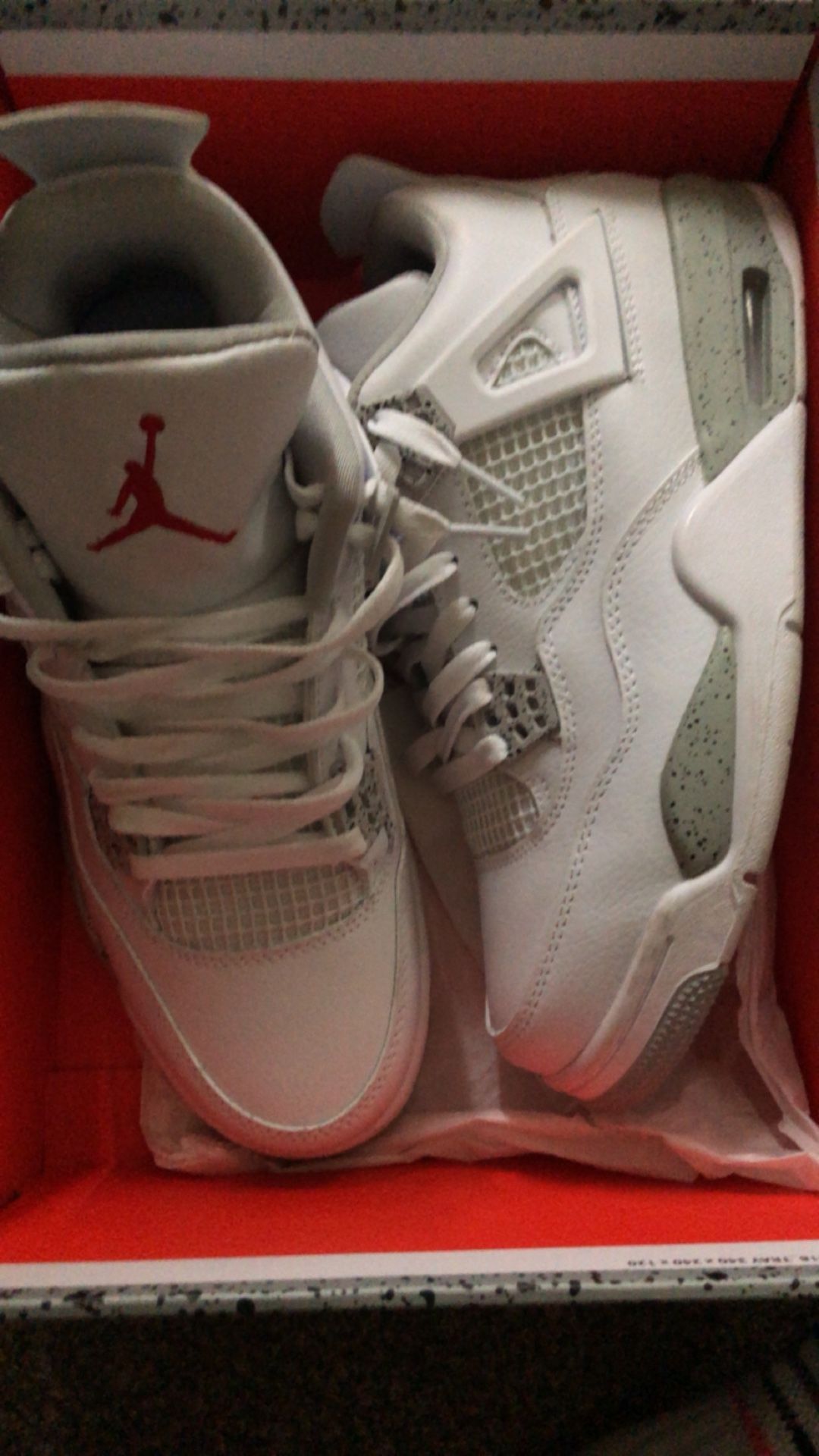 Jordan 4s