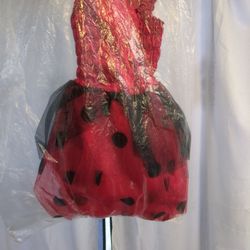 Costume Dress 4-6