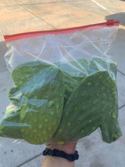 Nopalitos