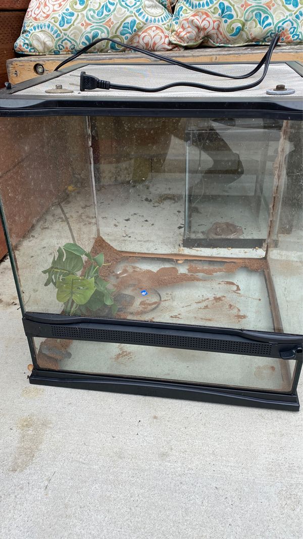 Lizard tank for sale perfect for gecko, or small reptile for Sale in Long Beach, CA OfferUp
