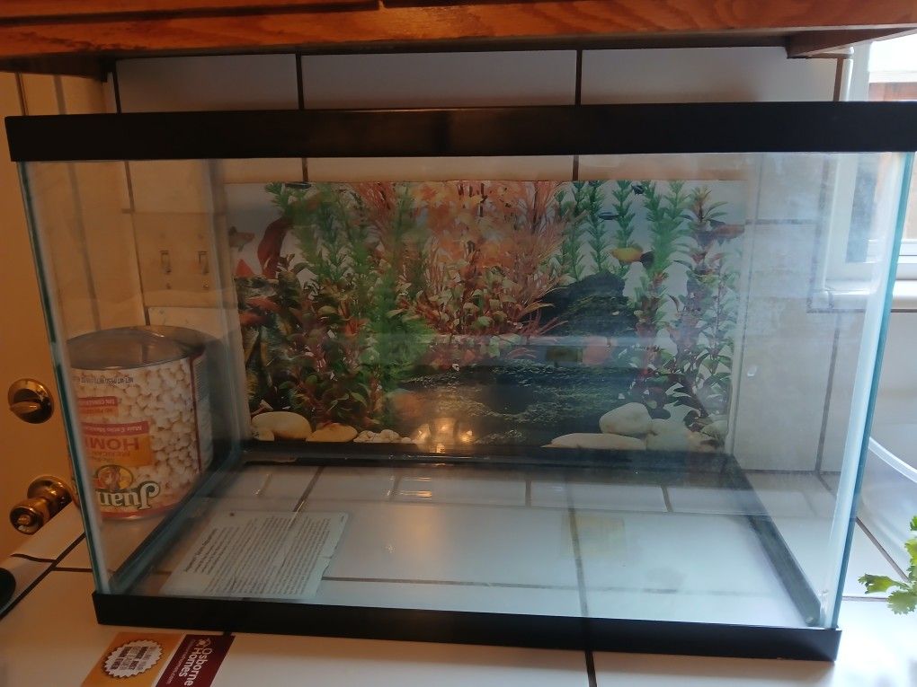 20 Gallons Fish Tank